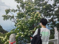 -终南山国家森林公园