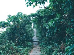 -东极岛景区