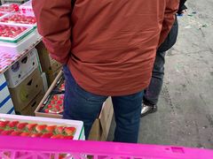 -沈阳市八家子水果批发市场