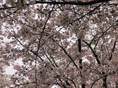 -龙美术馆西岸馆-停车场