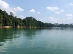 -广州市流溪河国家森林公园