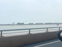 -大湾区中央湿地公园-十九涌