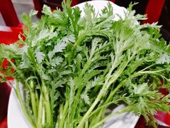 茼蒿-老来福·非遗酸汤兔(凯旋路店)