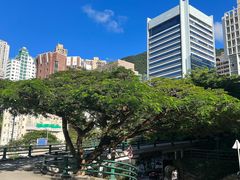 -香港大学