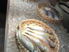 -新发展亚太JW万豪酒店大堂吧