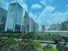 -利苑酒家(合景国际金融广场店)