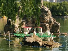 -团结湖公园
