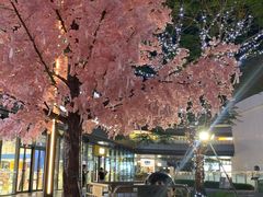 -东莞松山湖万象汇