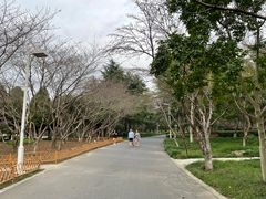 -白塘生态植物园