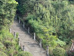 -铁山坪森林公园