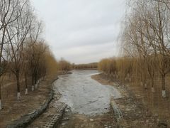 -东坝千亩湖公园