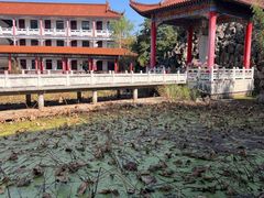 -皇罗禅寺