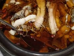 -佳兰雅序融合菜(高新店)