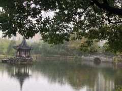 -和平公园
