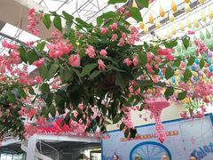-广州花之恋城堡酒店