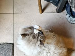 -嵊州特色小吃(萧山街店)