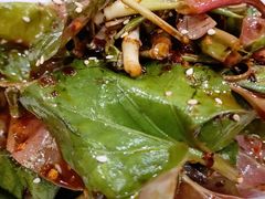 凉拌折耳根-老来福·非遗酸汤兔(凯旋路店)