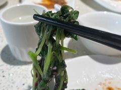 -阿莉餐厅(枣阳路店)