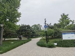 -玲珑塔公园