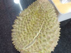 -芽笼