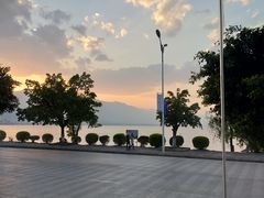 -野菌皇海景野生菌火锅(滨海大道店)
