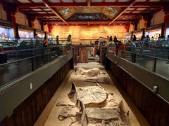 -北京大葆台遗址博物馆