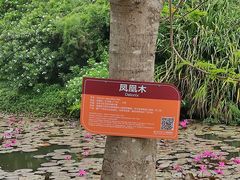 -白沙门生态公园