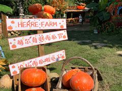 -HERRE·FARM 赫尔露营农场·团建聚会包场