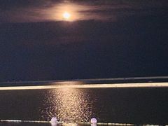 -碧海金沙
