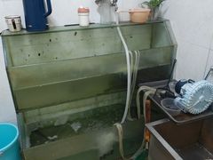 -玲燕蒸菜馆(江东路店)