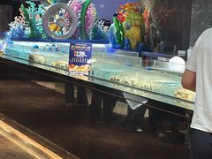 -萧邦音乐会所KTV·蒸汽活海鲜自助(福田店)