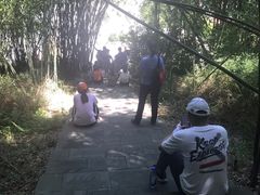 -羚羊峡古栈道森林公园