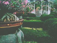 -东芭乐园