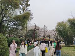 -堤角公园