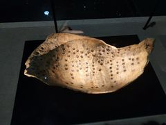 -金沙遗址博物馆