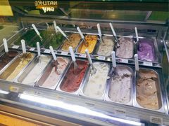 -鹤茶野所(上海首店)