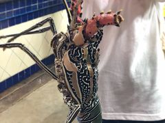 -班赞海鲜市场
