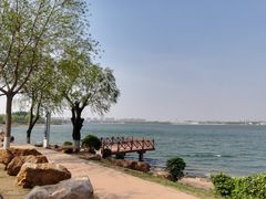 -丁香湖公园