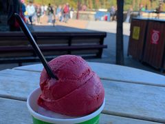 -Patagonia Chocolates(皇后镇店)