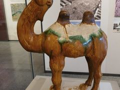 -隋唐大运河文化博物馆