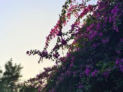 -福道