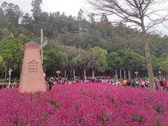 -顺峰山公园