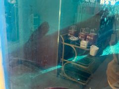 -鱼酷活鱼烤鱼(沈阳大悦城店)