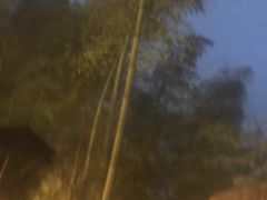 -江南天池