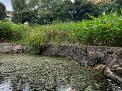 -成都市活水公园