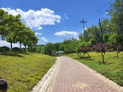 -白水寺森林公园