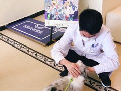 -宠颐生汉谟拉比宠物医院