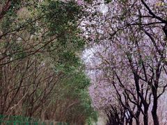 -南丰汇(新港东路店)