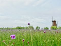 -漩门湾国家湿地公园