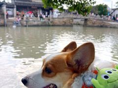 -千灯古镇
